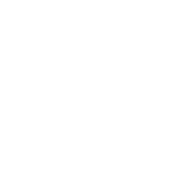 ADJUST HIRING PRACTICES